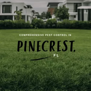 a green lawn with buildings in the background