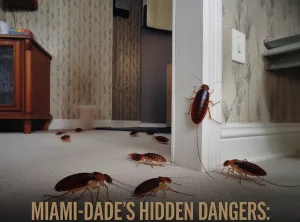miami dade hidden dangers – pest control in