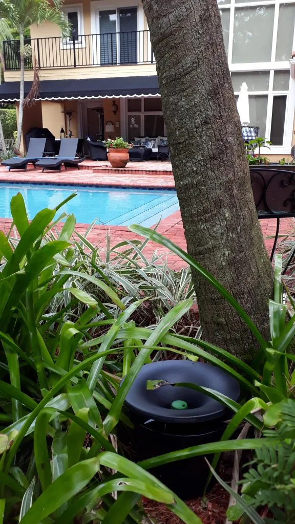 Insights Into Dade Pest Solutions’ Mosquito Fighting Strategies 3 In2Care trap near swimming pool