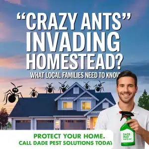 Pest control advertisement for crazy ants.